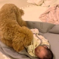 赤ちゃんを見るりのちゃん