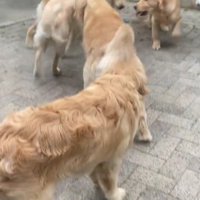 生後半年になると…