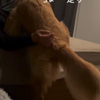 「ちょ…上がれない…」