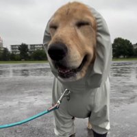 目を細めるジャスミンちゃん