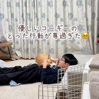 ココちゃんの尊い行動