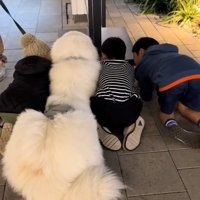 わたまるくんと子どもたち1