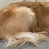 足も隠しています