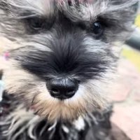 ちょっぴり情けなくて可愛い♡