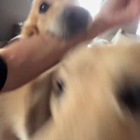 ピョンピョン跳ねて大喜び！！