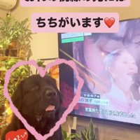 お父さんにメロメロです