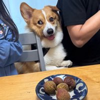 お裾分けほしい…