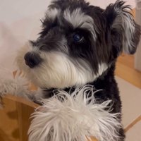 ボセくんの成長記録7