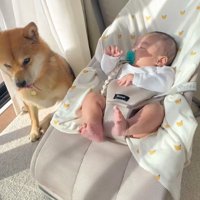 微笑ましい光景にホッコリ