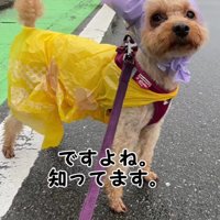 似合い過ぎる姿にホッコリ