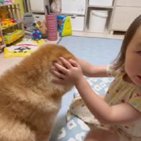 絆の深さが垣間見える