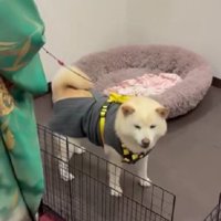 「ちゃんとやり遂げたよ」