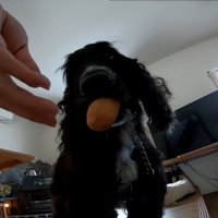 勝手におもちゃで遊び始めました！