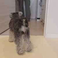 朝から家事で大忙し！