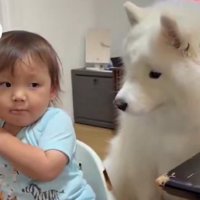 しつけに挑戦！？