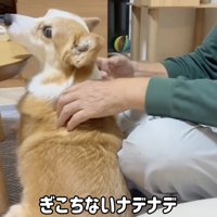 おじいちゃんの隣に座る犬
