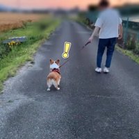 お姉ちゃんに気づいたはなちゃん