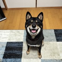 凛々しさ