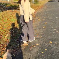 お散歩中のチャックくん8