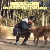 たどり着いて褒められる犬