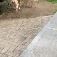 遊び方も豪快に！！