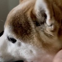 ちゃんとお兄ちゃんしてくれてます