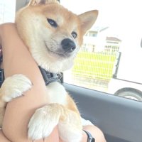 幼稚園