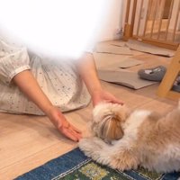 ママを見るkokoちゃん