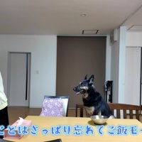 「夕飯だ！！」