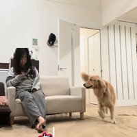 ハナコちゃんとお姉ちゃんの再会3