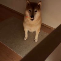 「次は僕の番だよ」