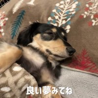 素敵な夢が見られそう♡