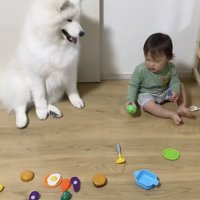 しょんぼり…