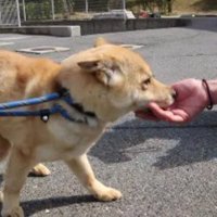 人懐こく明るい性格