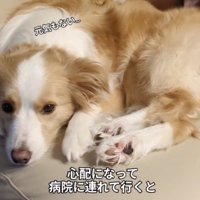 元気もなさそう…？