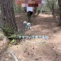 定期的に確認してくれます