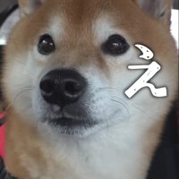 「え…どういうこと…？」