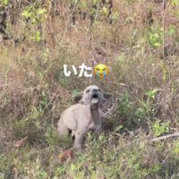 ひとりぼっちでいるところを発見