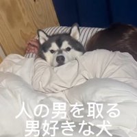 愛犬の章末ちゃんだった
