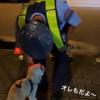 警備員を見つめる犬
