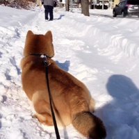 なかなか動かない朔ちゃん