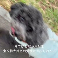 アイコンタクトできるほど成長