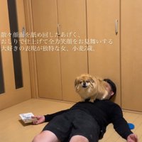 くるりと器用に方向転換