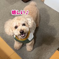 お姉ちゃんに会えると聞いてニッコリ♪