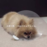 これからは自分のために生きよう