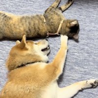「構ってアピール」炸裂！