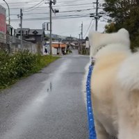 娘さんを見つけたこうたろう君