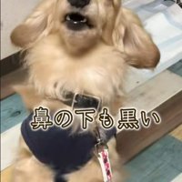 さらお君を病院に連れて行ったら3
