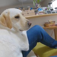 まさかの塩対応（笑）