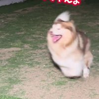 大興奮の紅ちゃん
